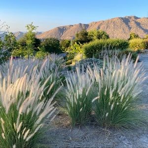 Meet your Posher, Maritza